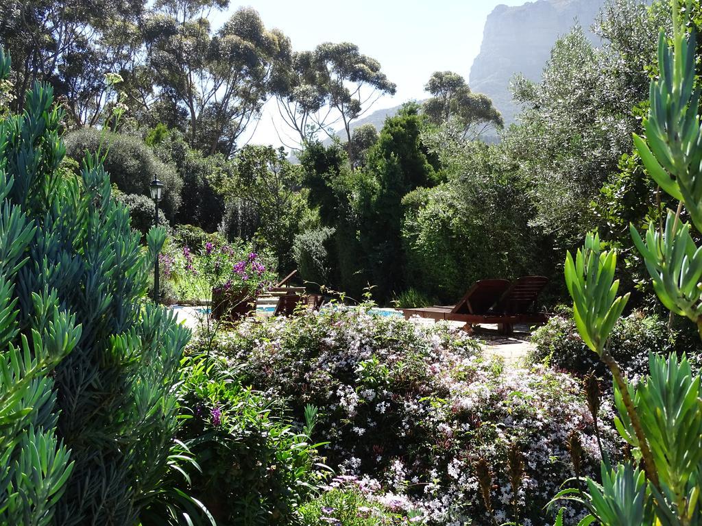 Intaba Lodge Hout Bay Esterno foto