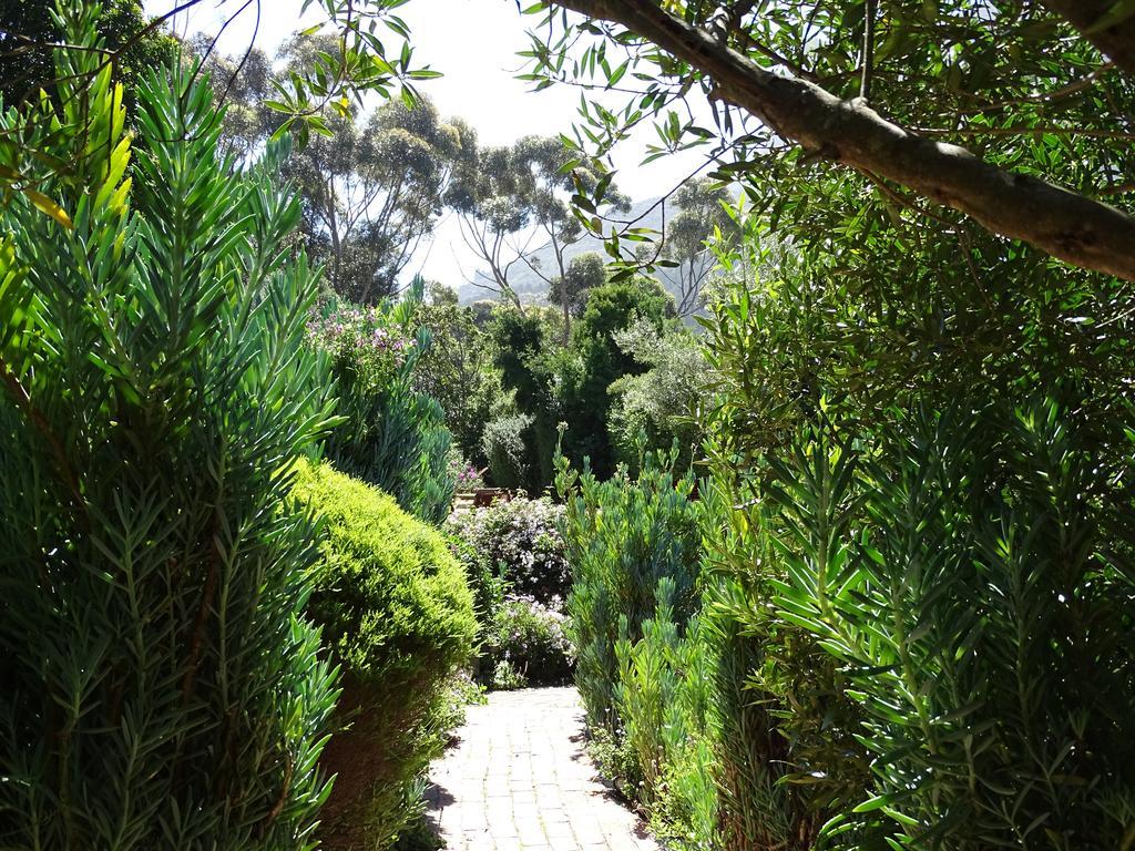 Intaba Lodge Hout Bay Esterno foto